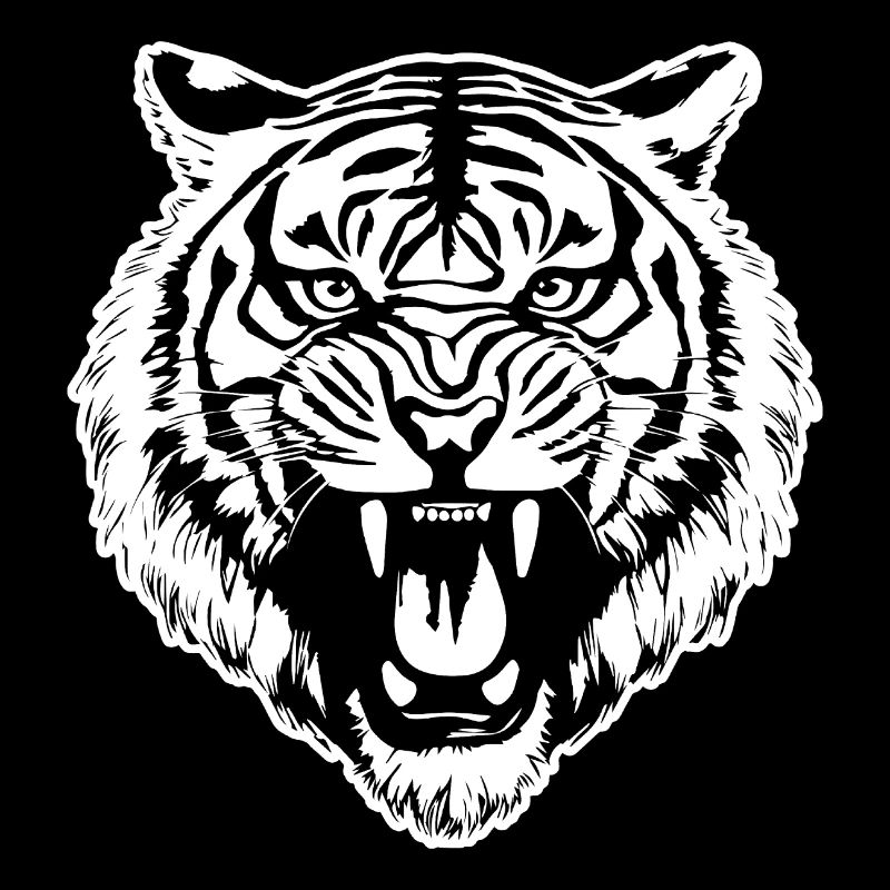 Tiger Raubkatze