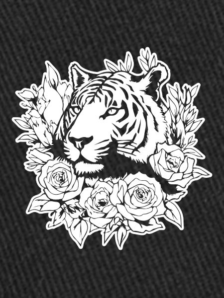 Tiger Big Cat