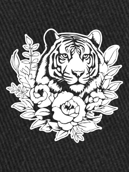 Tiger Big Cat
