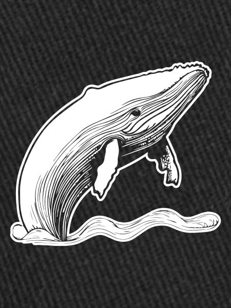 Whale Sea Fish