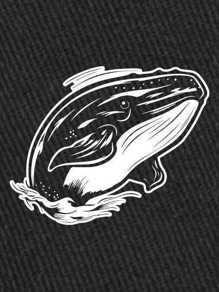 Baleine Poisson de mer