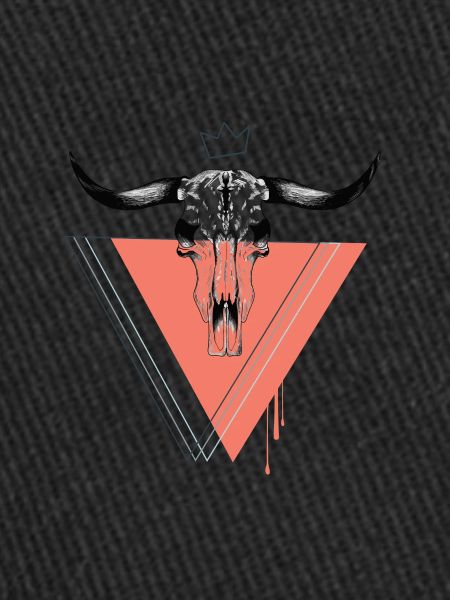Triangle bull skull