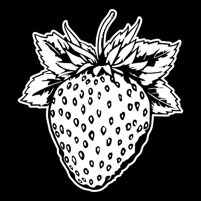 Fraise Fruit Fruit