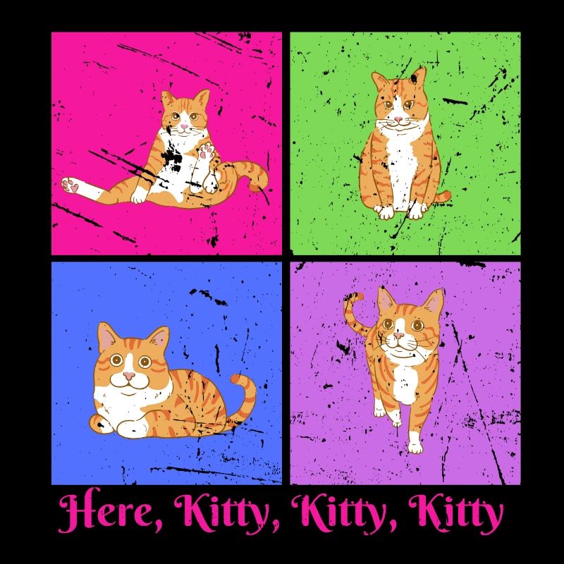 Kitty Kitty