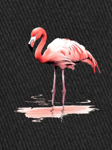 Zig le flamant rose