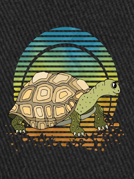 Tortoise