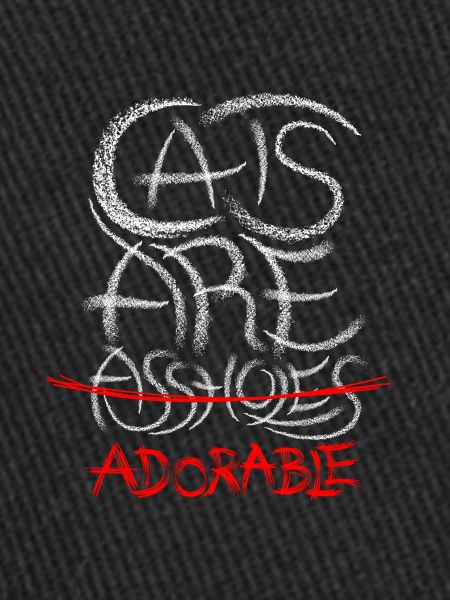 Adorables Chats 2