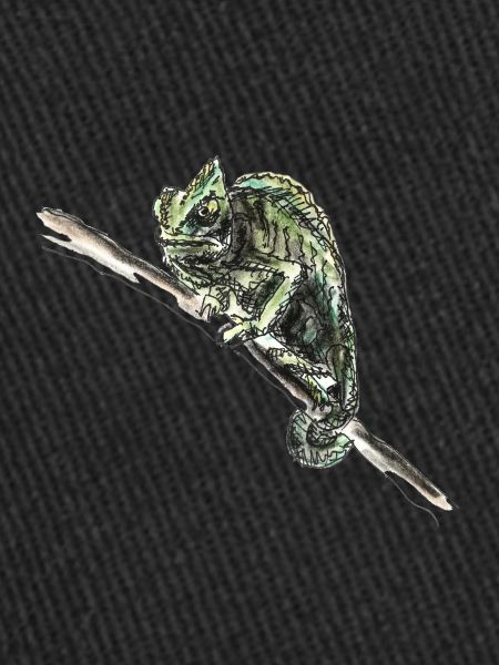 chameleon