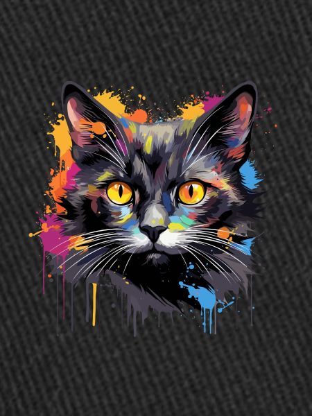 chat noir