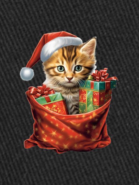 Chaton de Noël 1