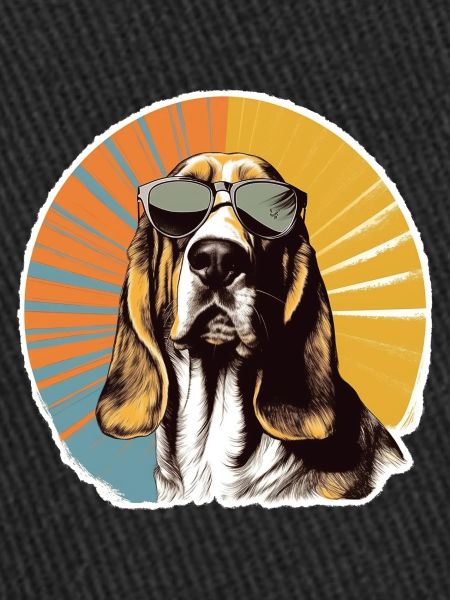 Basset 2