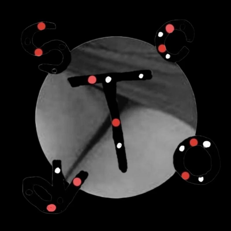 Sie oder Er, scort v.t-shirt