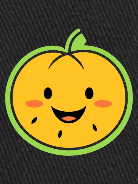 Fruit Humour petit Melon