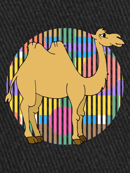 Camel