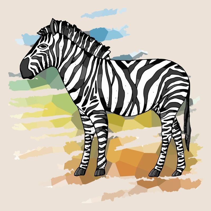 Zebra