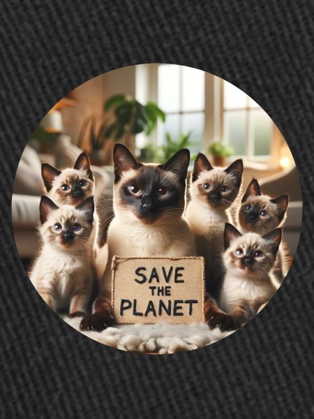 Famille de chats