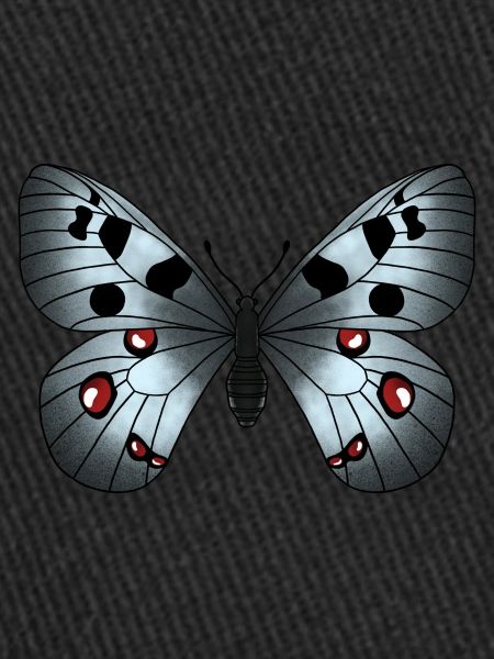 Gris papillon