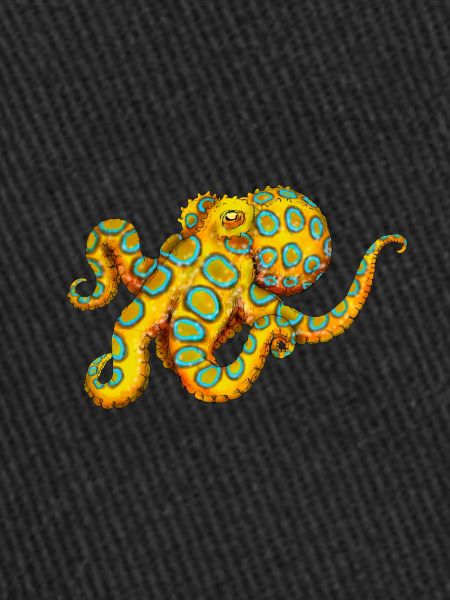 BLUE-RINGED OCTOPUS