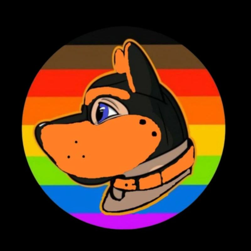 Capuche pour chiot Logo orange