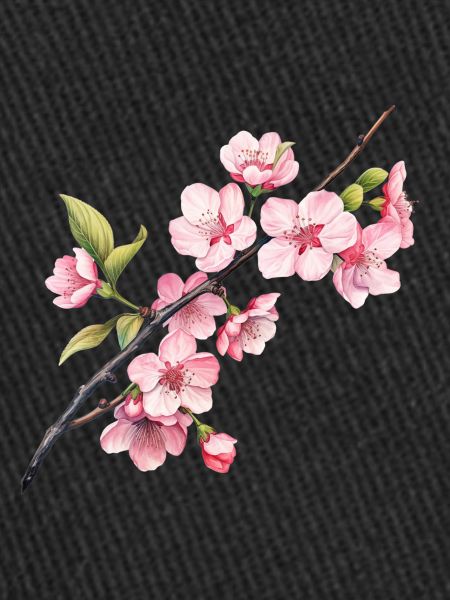 Sakura Spring