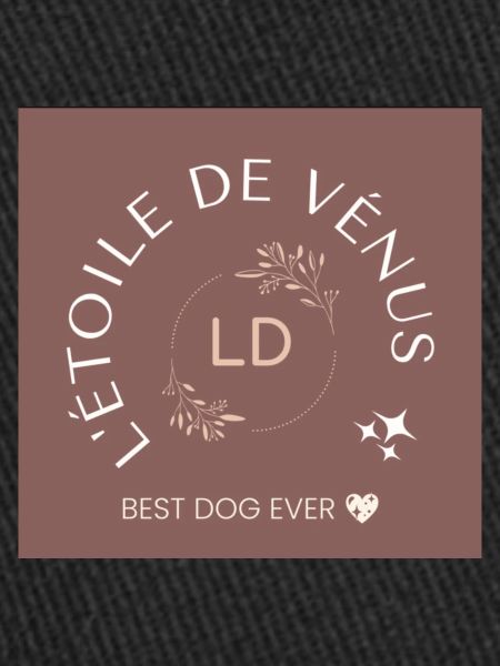 L'étoile de Vénus ✨