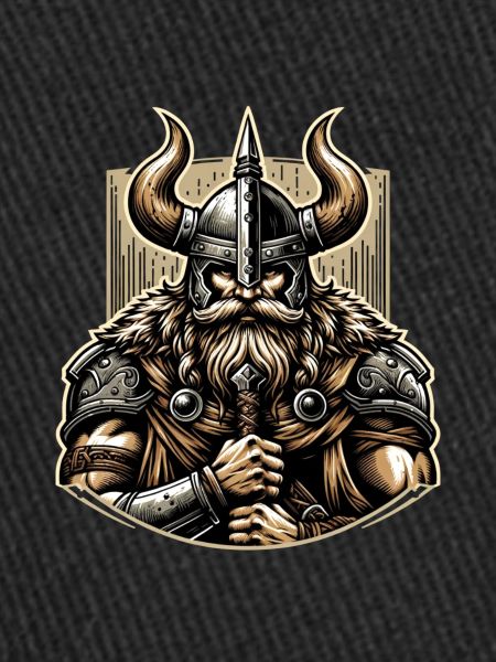 Vaillance viking