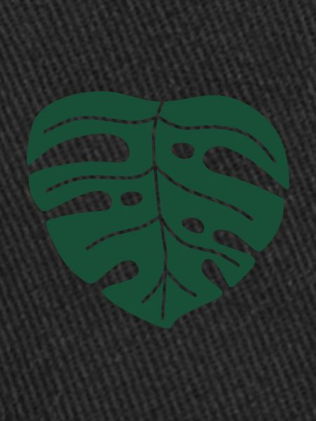 Feuille de monstera
