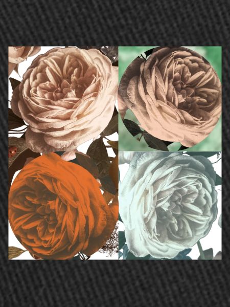 Rosenquartet