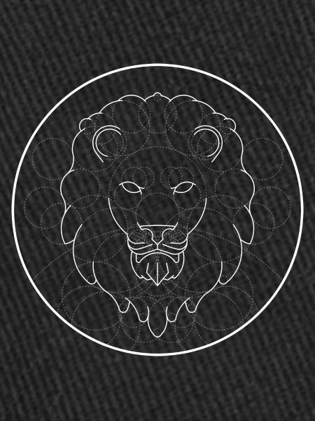 Lion - Lumière