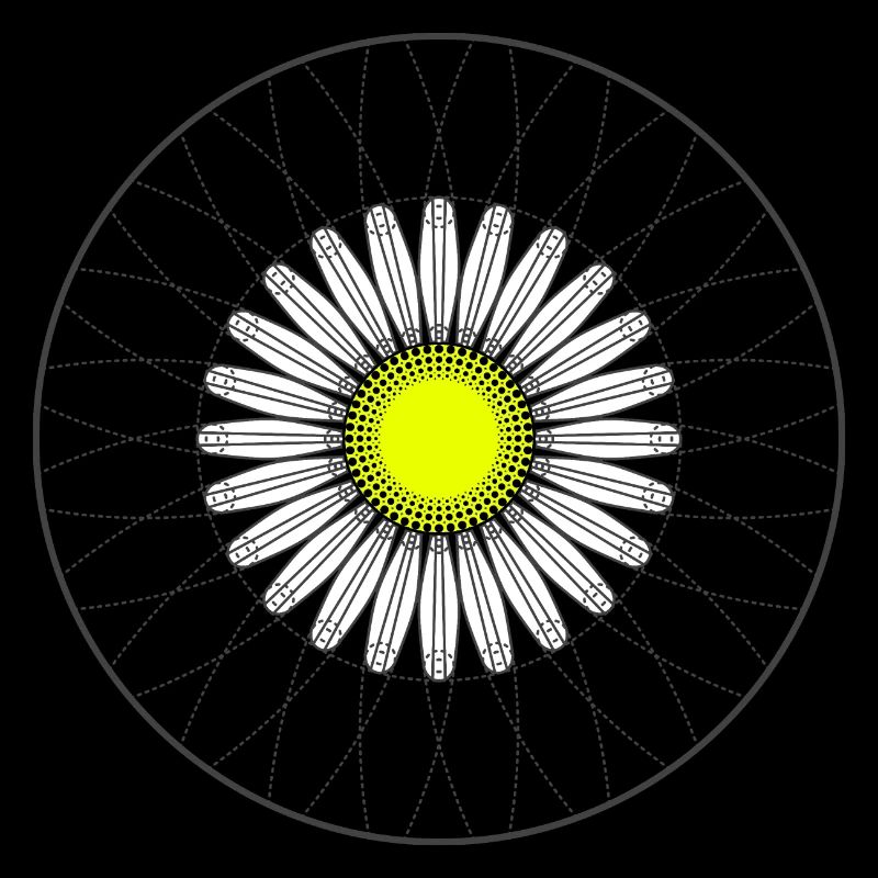 Gänseblümchen - Dunkel
