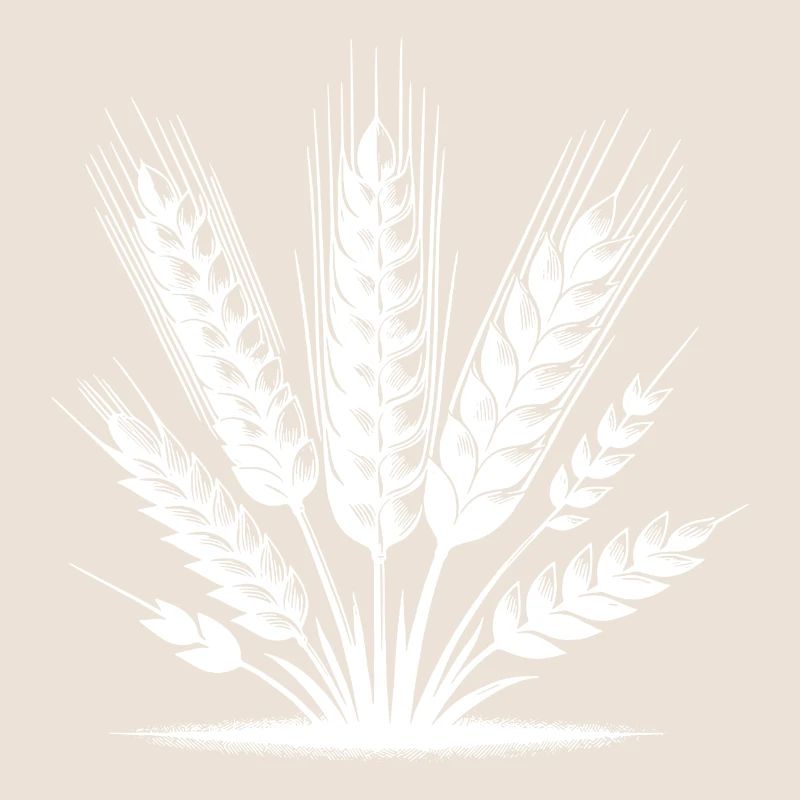Différents grains