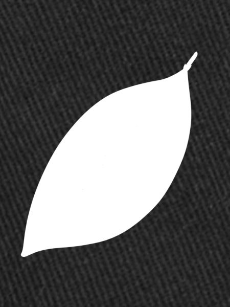 Leaf Symbol Shape Nature