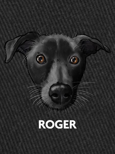 Roger 2