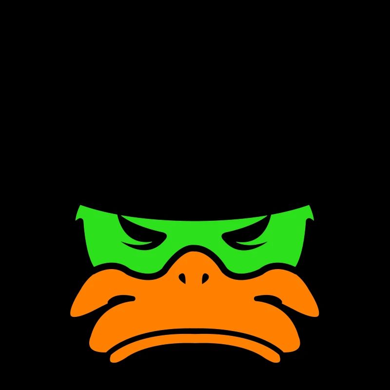 Canard du Mexique 02