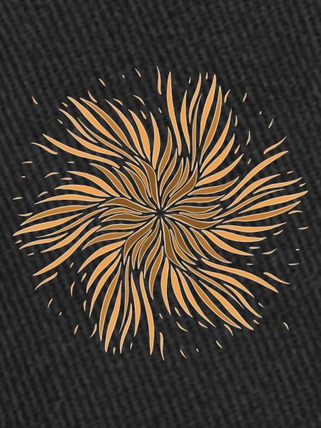 Sun Feather