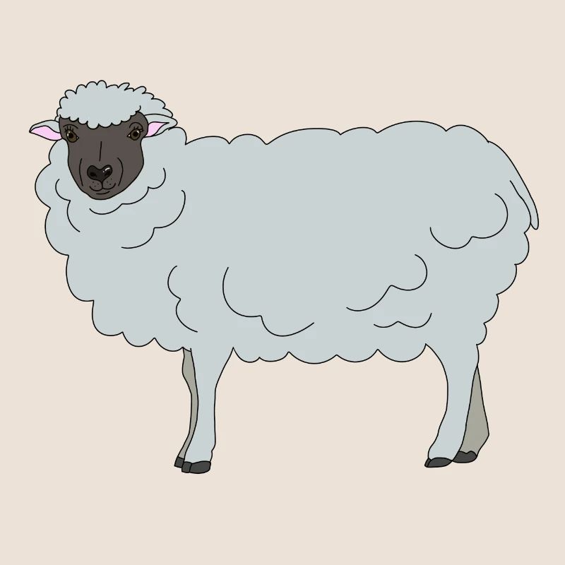 Sheep