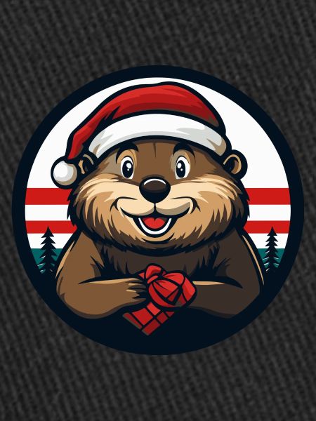 Castor Noël Noël
