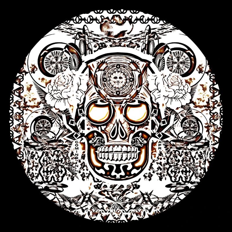Schädel-Kreis 1