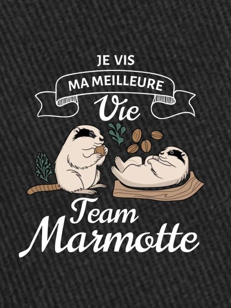 Team Marmotte