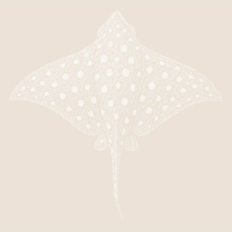 Spotted Eagle Ray