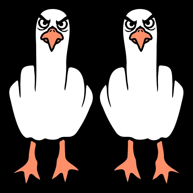 2 Seagulls Middle Finger Insult Stinkfinger Team