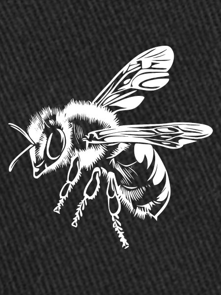 Bee Beekeeper Graphic