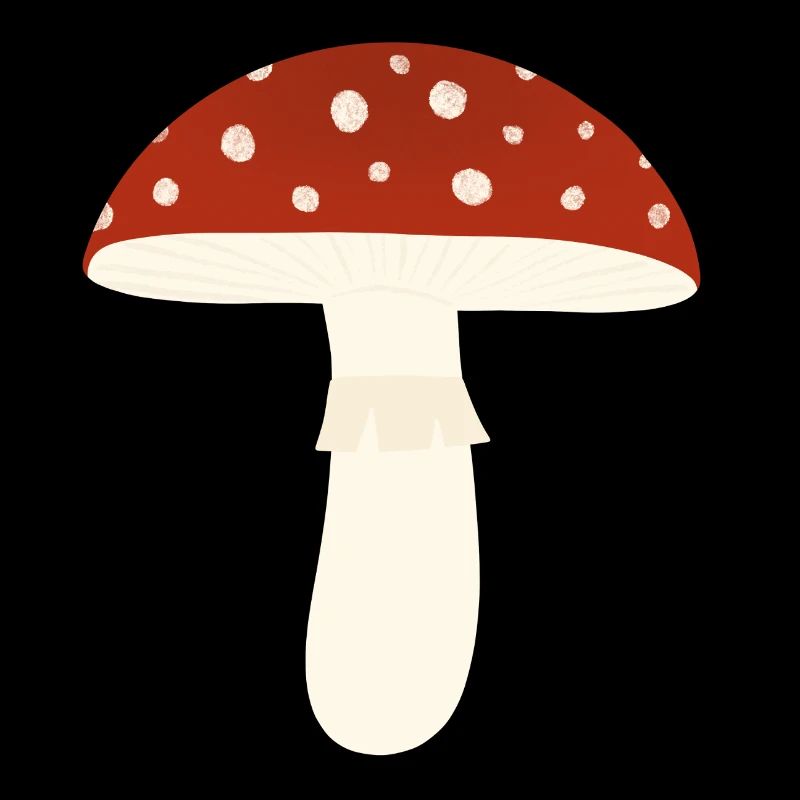 Champignon amanite tue-mouches