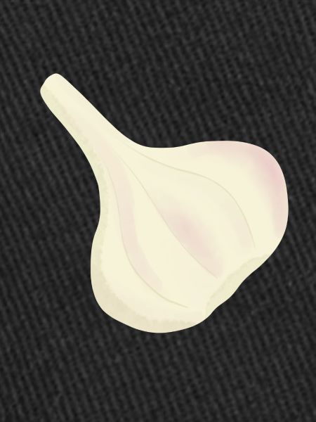 Garlic Bulb