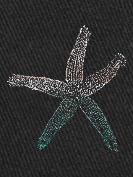 starfish