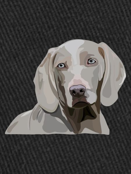 Weimaraner