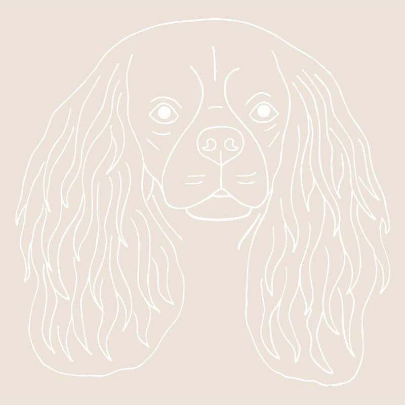 Cavalier King Charles Spaniel