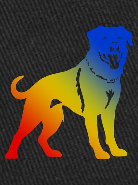 Rottweiler dog