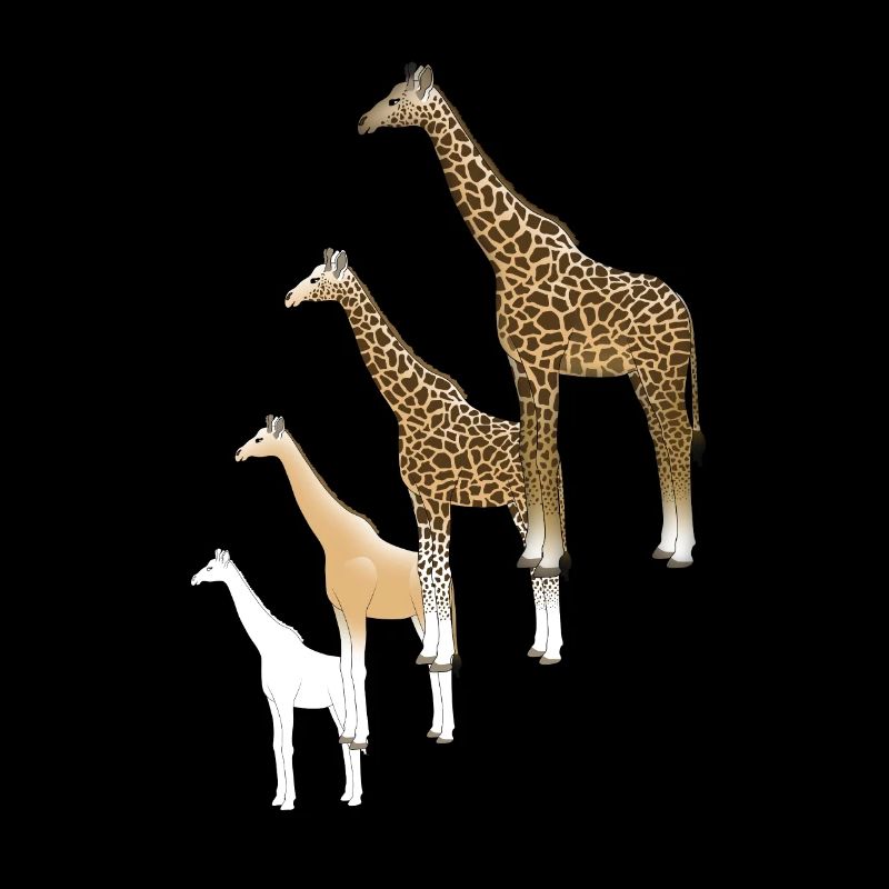 Girafe dessin
