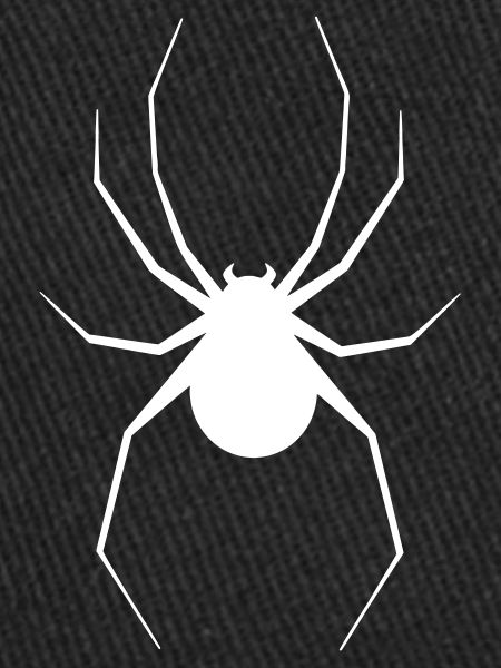 Araignée